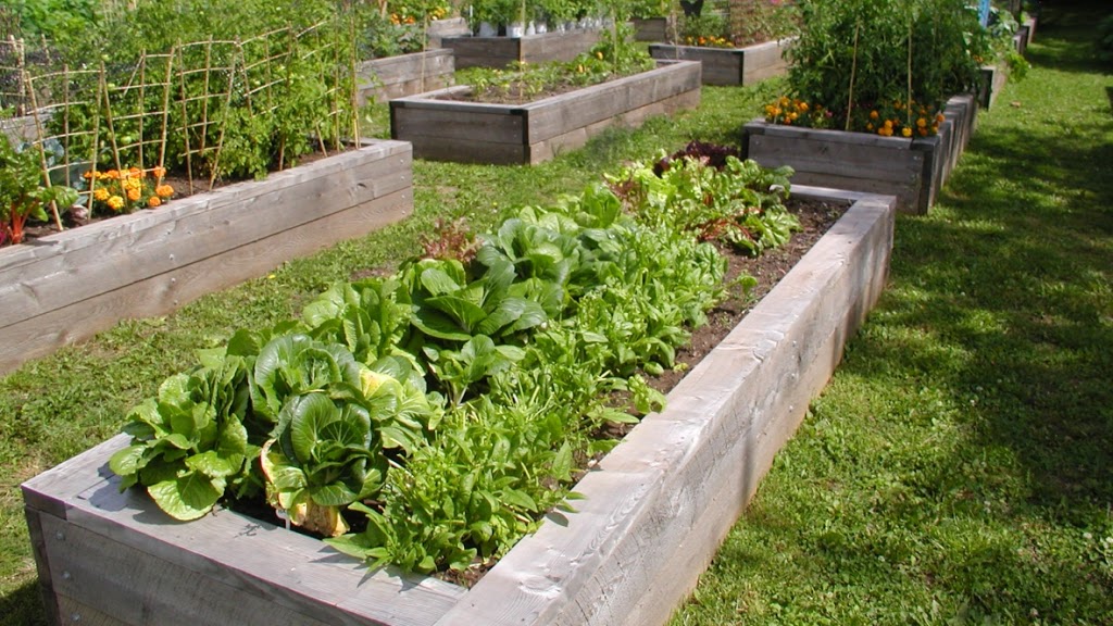 King Street Community Garden | 155 King St, Truro, NS B2N 3L3, Canada | Phone: (902) 893-6078