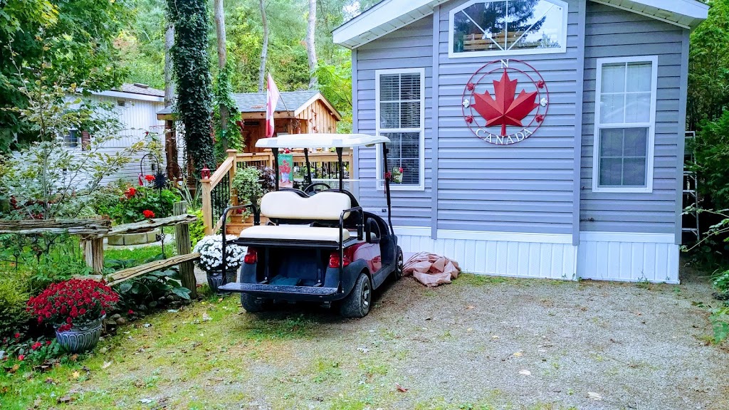 Pine Lake Family Campground | 77794 Orchard Line, Bayfield, ON N0M 1G0, Canada | Phone: (519) 482-3380