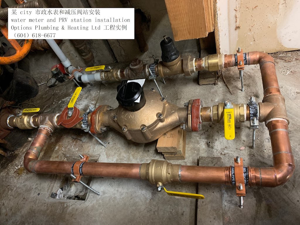 Options Plumbing & Heating Ltd | 10687 142 St, Surrey, BC V3T 4S6, Canada | Phone: (604) 618-6677