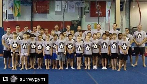 Surrey Gymnastic Society | 13940 77 Avenue (BEHIND Frank Hurt Secondary), Surrey, BC V3W 5Z4, Canada | Phone: (604) 594-2442