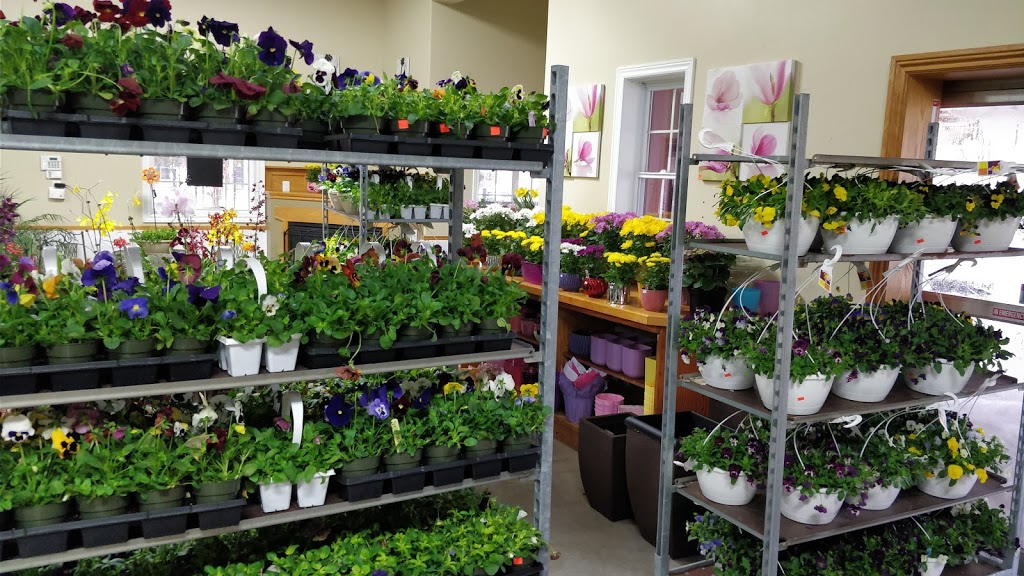 Springbank Garden Centre | 462 Springbank Dr, London, ON N6J 1G8, Canada | Phone: (519) 455-9327