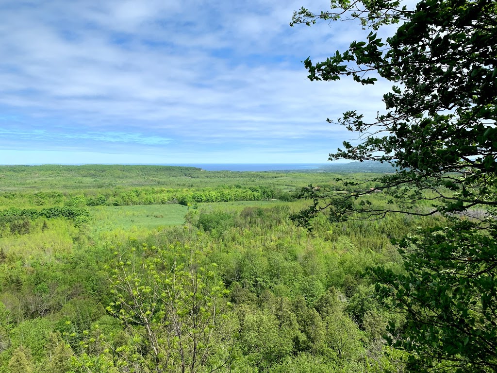 Bayview Escarpment Provincial Nature Reserve | Owen Sound, ON N4K 5W4, Canada | Phone: (519) 389-9056