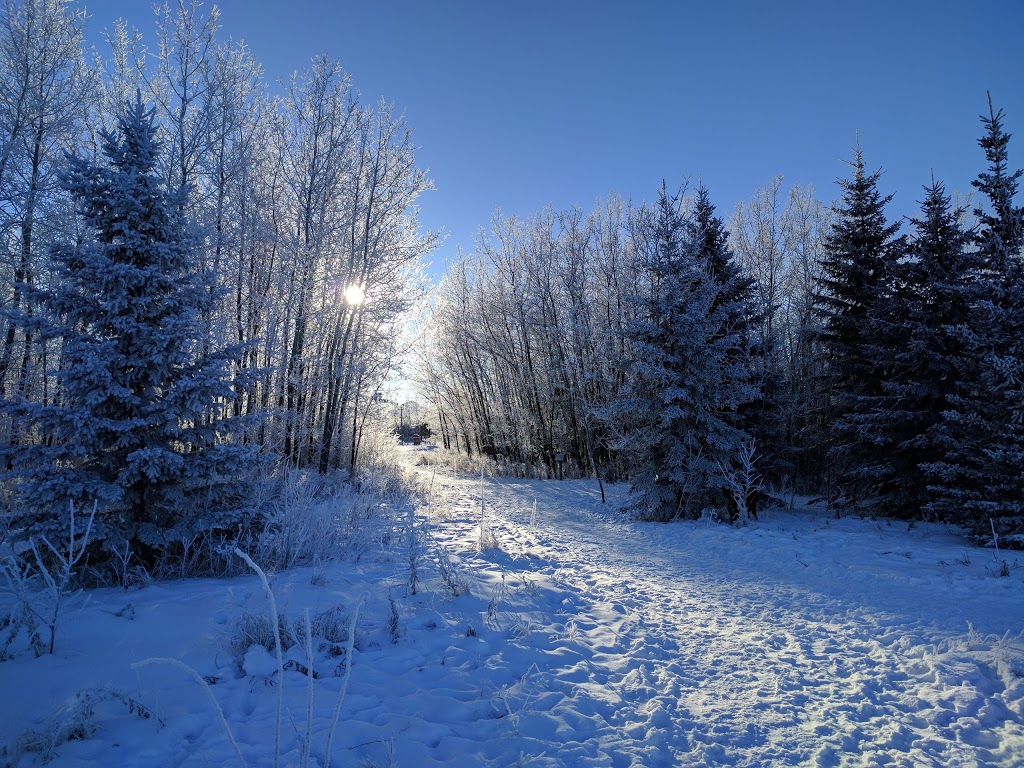 Riverlot 56 Natural Area | Poundmaker Rd, St. Albert, AB, Canada