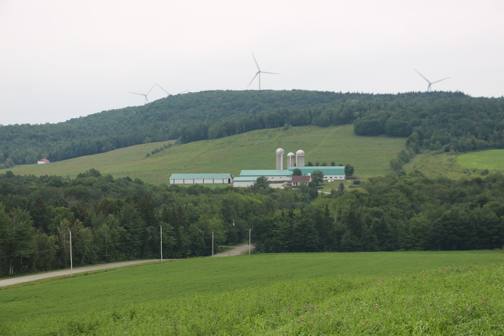 Ferme Maurisèle | 299, 5 ieme rang Ouest St-Ferdinand d Halifax GON 1NO, 299 5e Rang, Saint-Ferdinand, QC G0N 1N0, Canada | Phone: (418) 428-3686