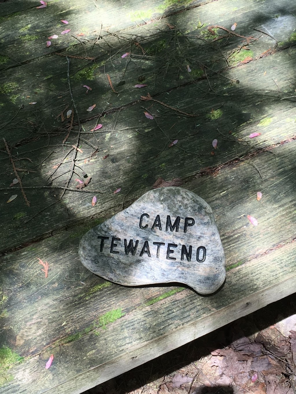 Camp Tewateno - Ontario Girl Guides of Canada | 1674 Gill Rd, Midhurst, ON L0L 1X0, Canada | Phone: (877) 323-4545 ext. 2413