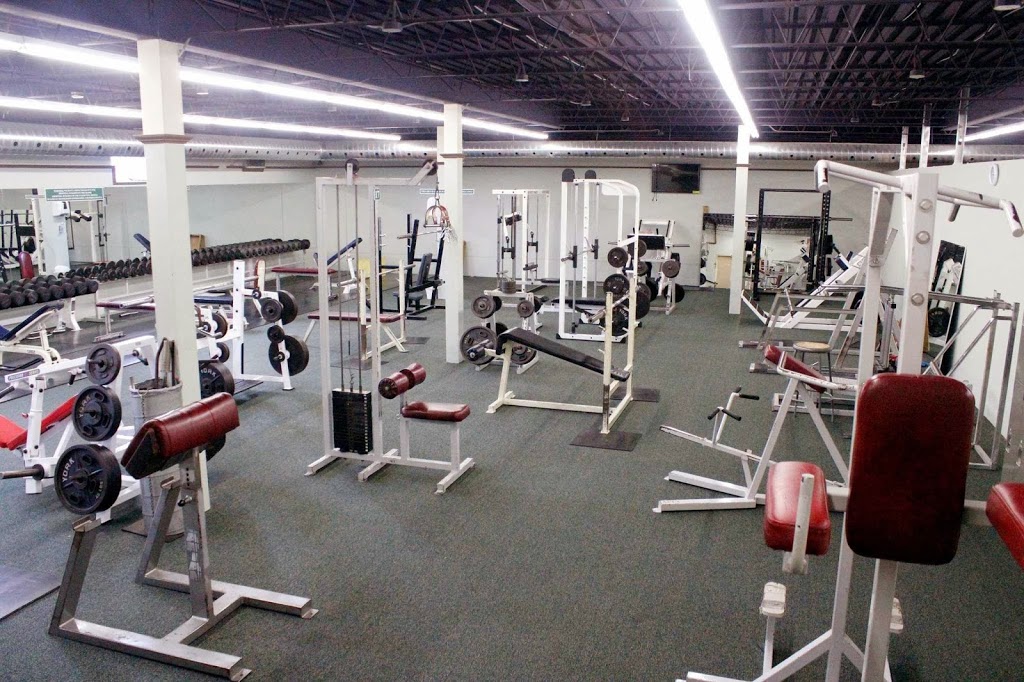 G & M Fitness Health Club And Personal Training Studio | 251 King St, Port Colborne, ON L3K 4G8, Canada | Phone: (905) 834-0550