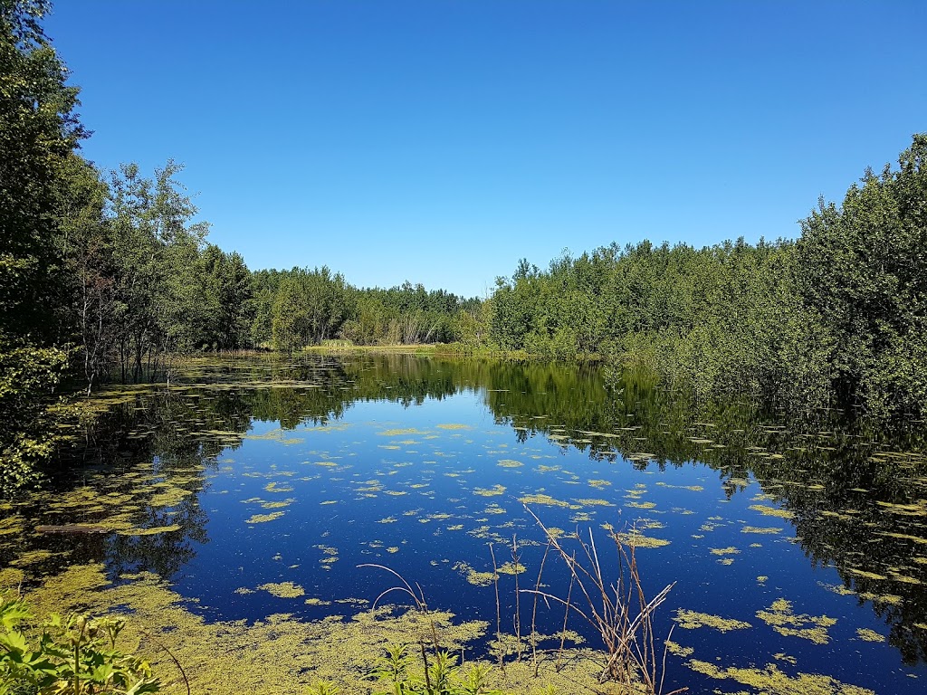 Beaver Pond Trailhead # 7 | Improvement District No. 13, AB T8L 4B6, Canada | Phone: (780) 922-5790