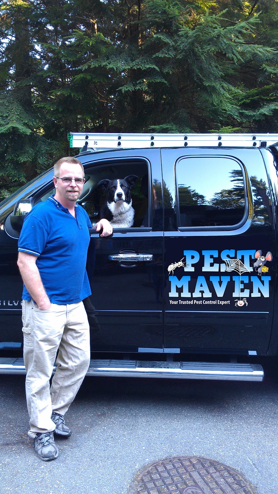 Pest Maven | 873 Hendecourt Rd, North Vancouver, BC V7K 2X5, Canada | Phone: (778) 378-7378