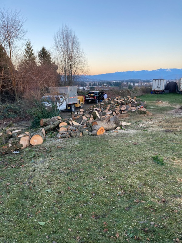 Chip It Stump Removal ltd | 37138 Dawson Rd, Abbotsford, BC V3G 2K9, Canada | Phone: (604) 855-1436