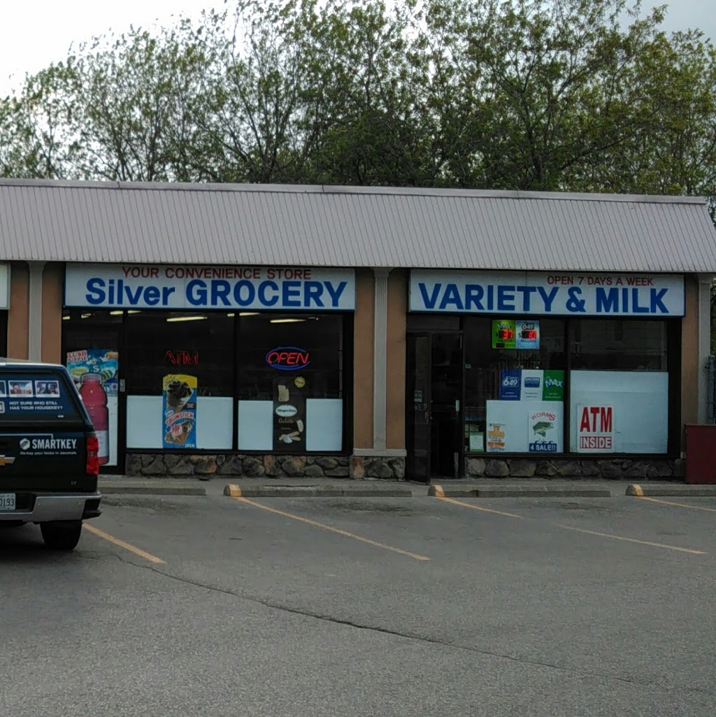 Silver Grocery Variety | 1624 Brock St S, Whitby, ON L1N 4M4, Canada | Phone: (905) 668-8411