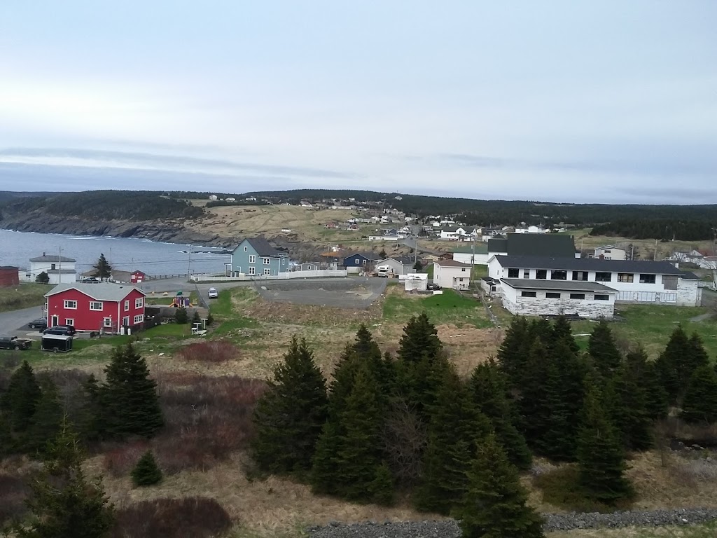 East West Exp Moving & Stge | 588 Main Rd, Pouch Cove, NL A0A 3L0, Canada | Phone: (709) 335-2485