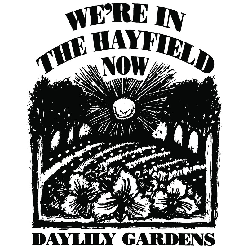 Were In The Hayfield Now Daylily Gardens | 4704 Pollard Rd, Orono, ON L0B 1M0, Canada | Phone: (905) 983-5097