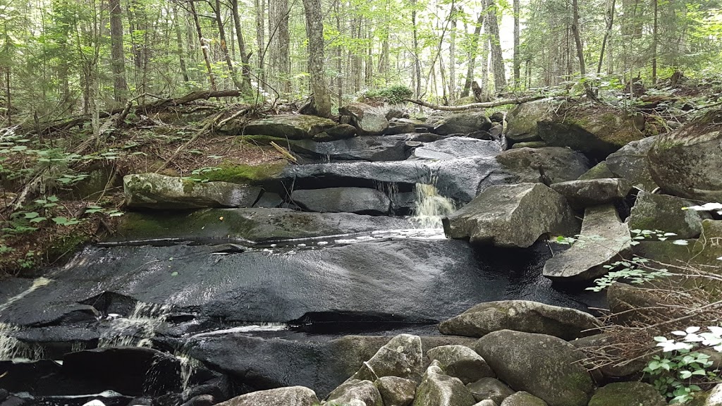 Frontenac National Park | 599 Chemin des Roy, Sainte-Praxède, QC G0M 1H1, Canada | Phone: (800) 665-6527