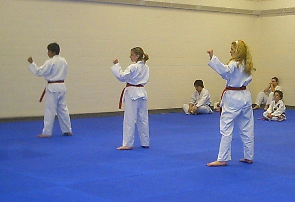 J Y Park Taekwondo | 9111 150 Ave NW, Edmonton, AB T5E 6J2, Canada | Phone: (780) 446-6837