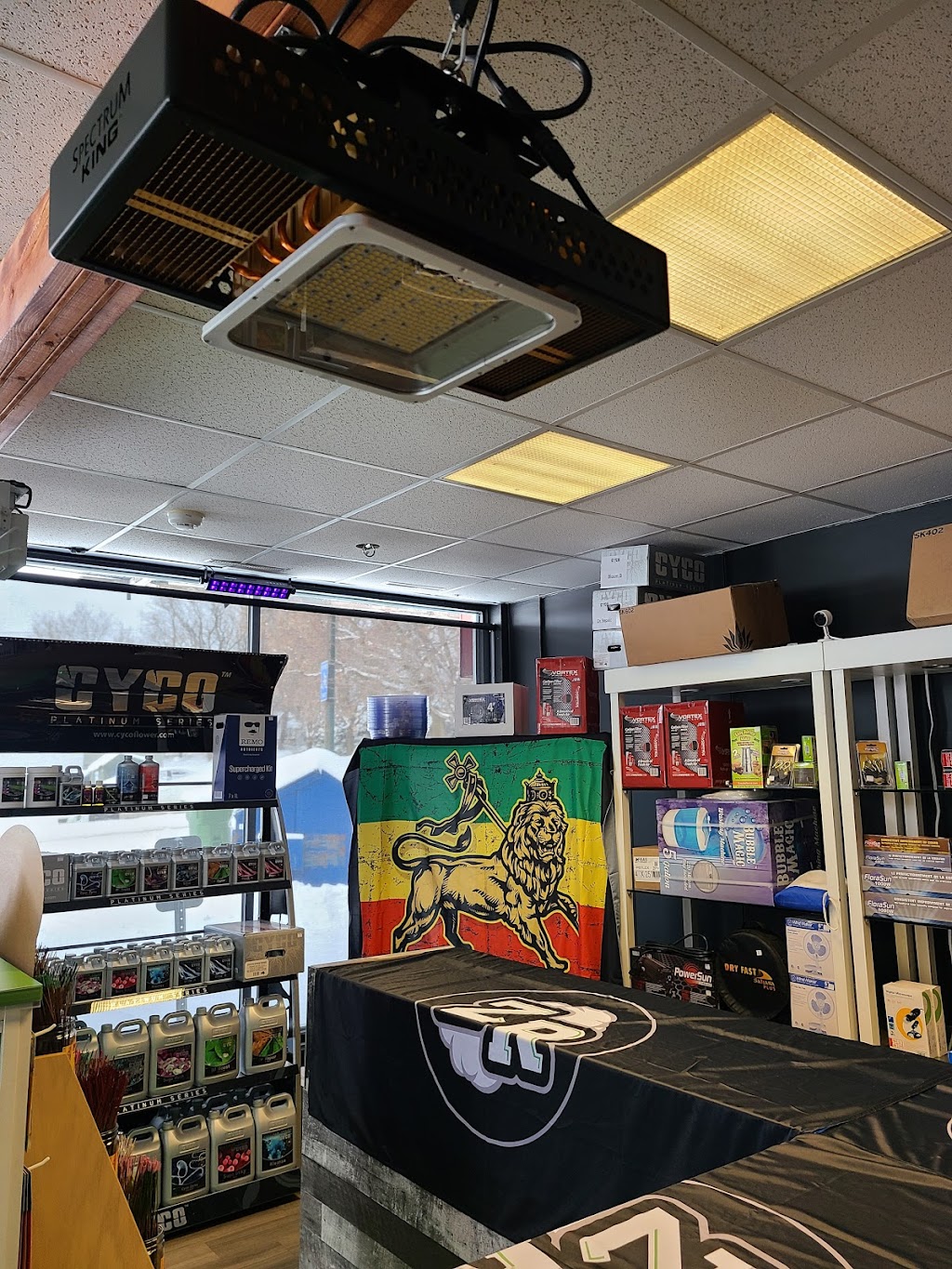 La Zone Rasta Charlesbourg | 13024 Boul. Henri-Bourassa, Québec, QC G1G 3Y4, Canada | Phone: (418) 977-4392