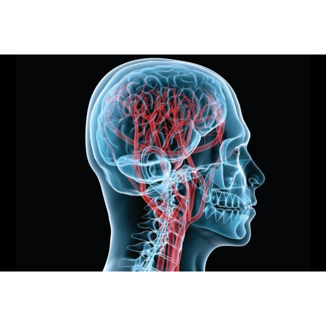 Craniosacral Therapy Calgary | 3851 Point McKay Rd NW, Calgary, AB T3B 4V7, Canada | Phone: (403) 471-2736