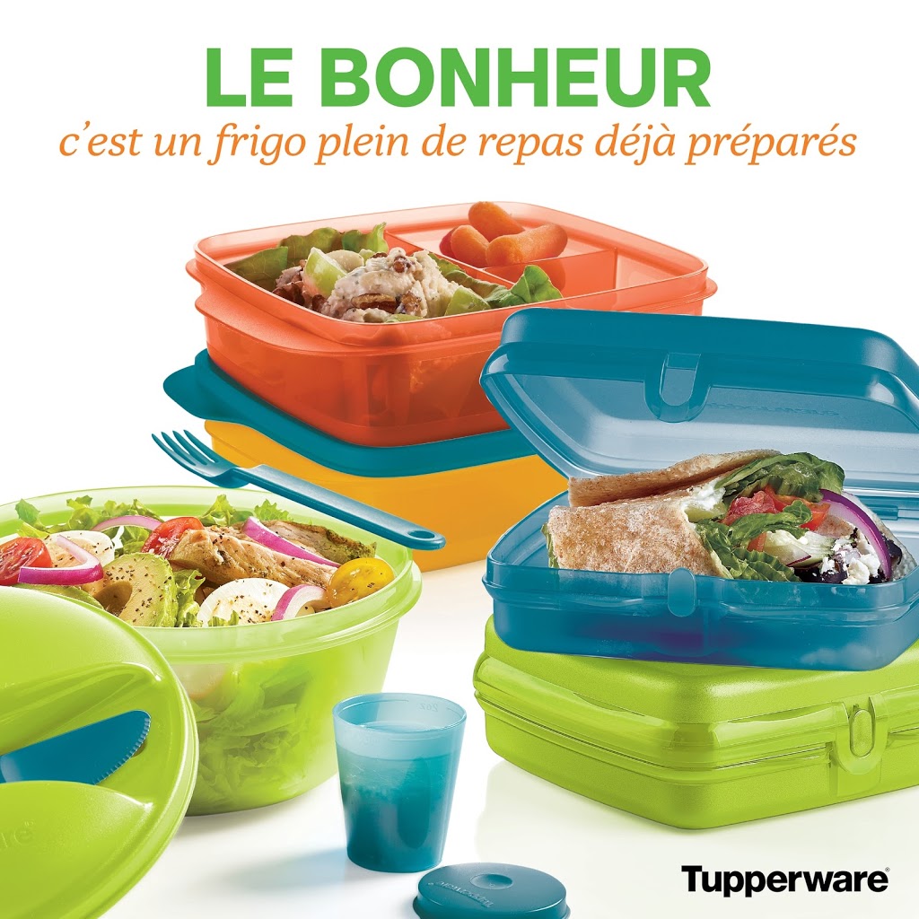 Mélanie Daigneault Tupperware | 338 Croissant des Ruisseaux, LÉpiphanie, QC J5X 0A2, Canada | Phone: (514) 661-2633