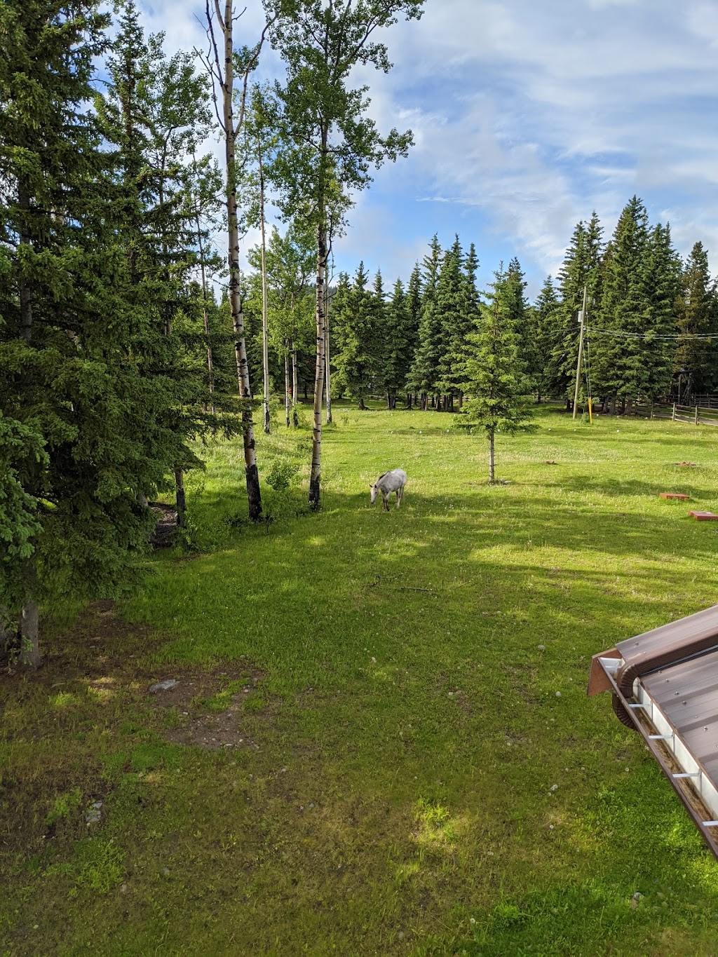 Free Rein Guest Ranch | 9550 Eagan Lake Rd, Bridge Lake, BC V0K 1E0, Canada | Phone: (250) 593-0332