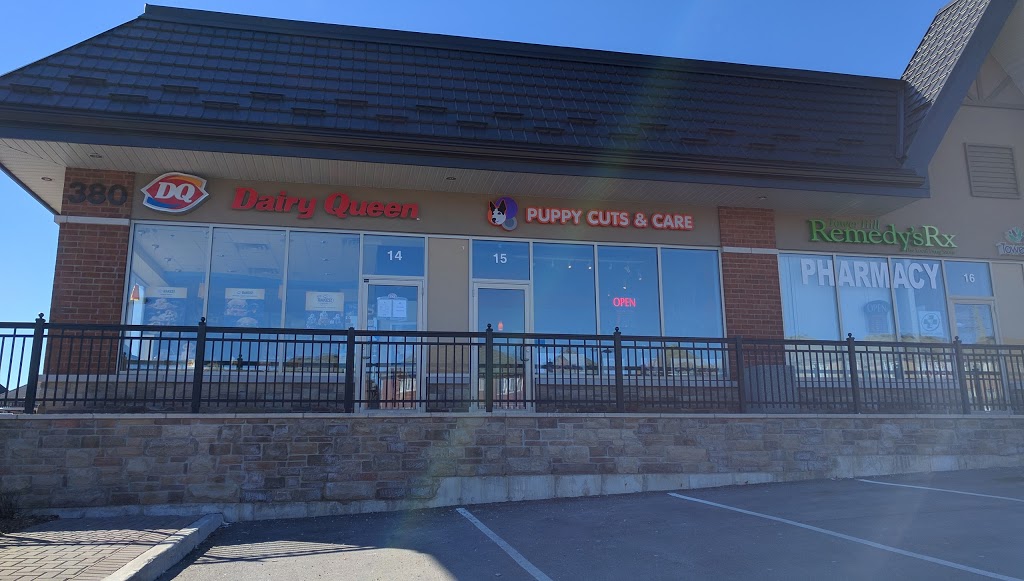 Dairy Queen (Treat) | 380 Tower Hill Rd Unit 14, Richmond Hill, ON L4E 0T8, Canada | Phone: (905) 737-5636