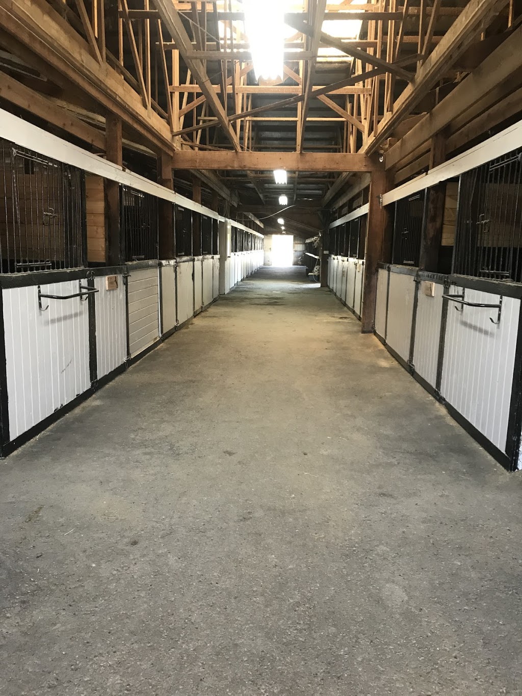 Westcott Equestrian | 1484 216 St, Langley Twp, BC V2Z 1R2, Canada | Phone: (778) 999-3266