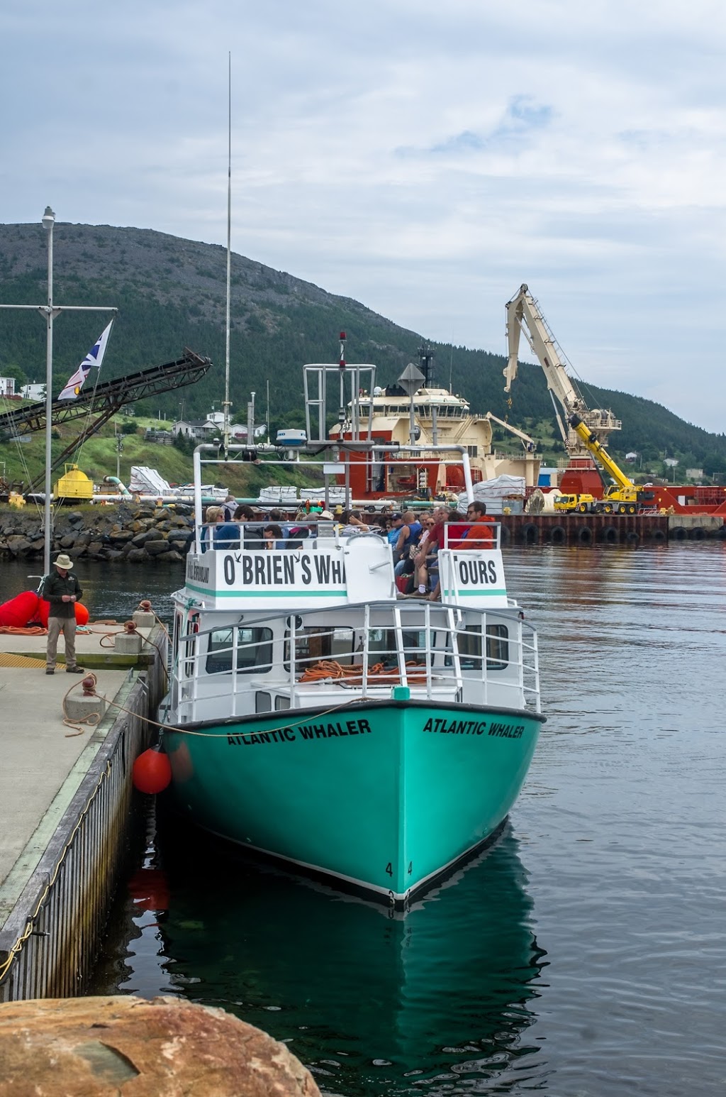 OBriens Whale and Bird Tours | 22 Lower Rd, Bay Bulls, NL A0A 1C0, Canada | Phone: (709) 753-4850