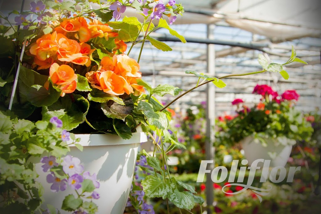 Centre dhorticulture FoliFlor | 3395 Boulevard Terra Jet, Saint-Cyrille-de-Wendover, QC J1Z 1B2, Canada | Phone: (819) 397-2898