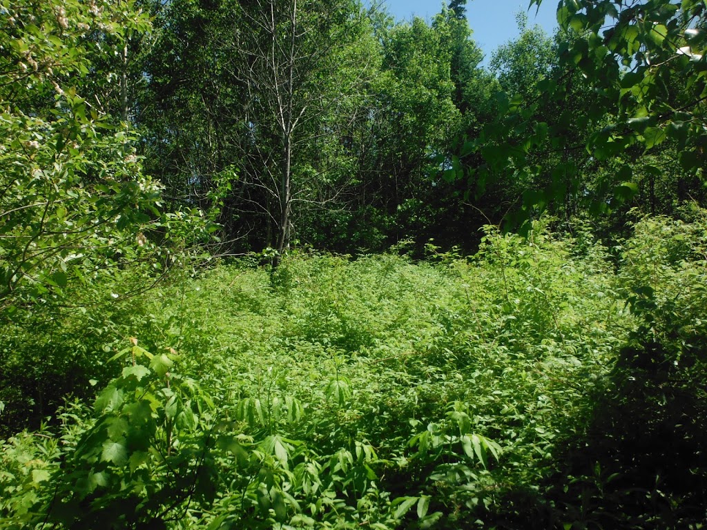 Hameaux De La Source | 387 Chem. de la Sablière, Lantier, QC J0T 1V0, Canada | Phone: (438) 558-9074