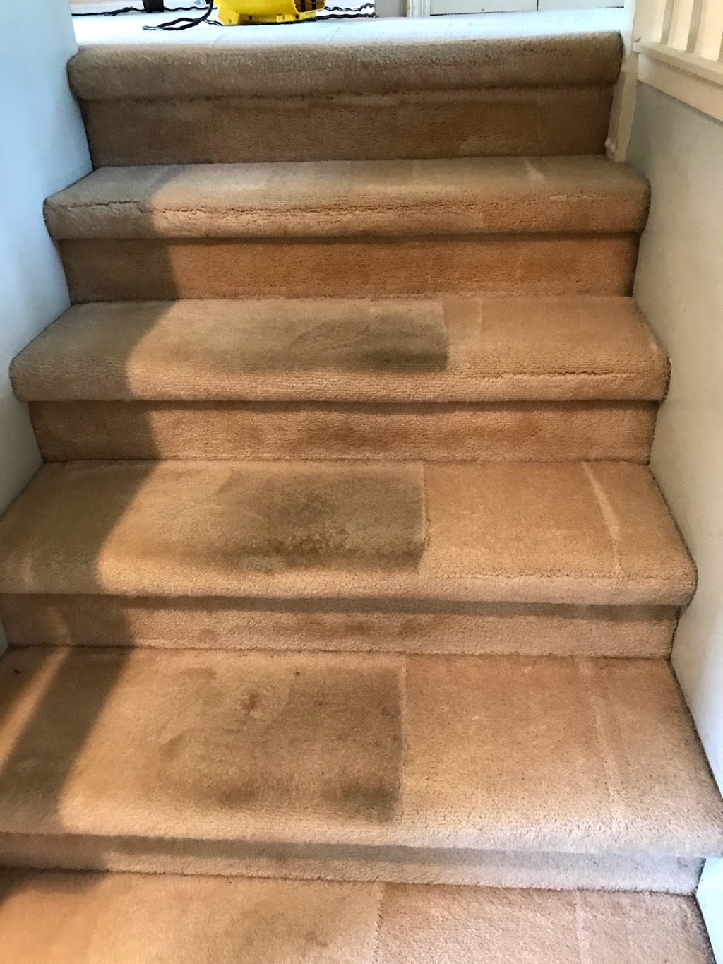 Maple Ridge Carpet Cleaning Service - New client Discount | 18975 Ford Rd, Pitt Meadows, BC V3Y 1X1, Canada | Phone: (778) 829-4557