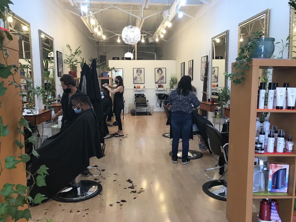 Sassy Cuts Langley | 20202 66 Ave, Langley City, BC V2Y 1P3, Canada | Phone: (604) 514-8899