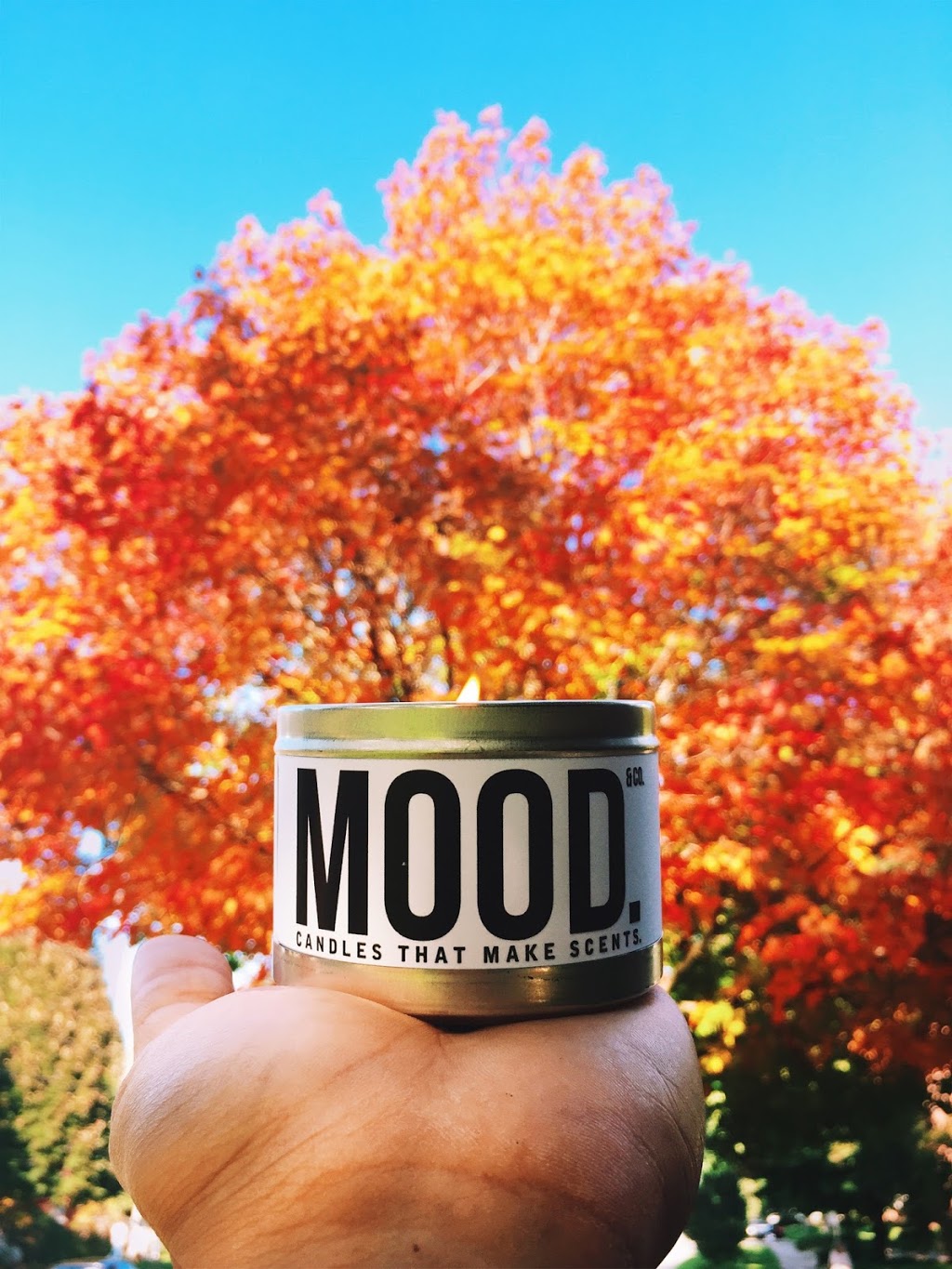 Mood & Co. | 111 Mt Pleasant Ave, London, ON N6H 1E1, Canada | Phone: 0000000000