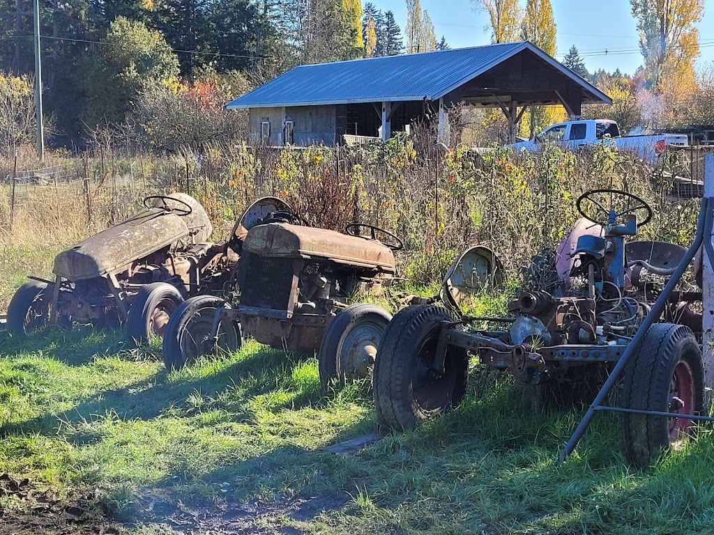 McNabs Corn Maze | 4613 Yellow Point Rd, Ladysmith, BC V9G 1G7, Canada | Phone: (250) 245-0666