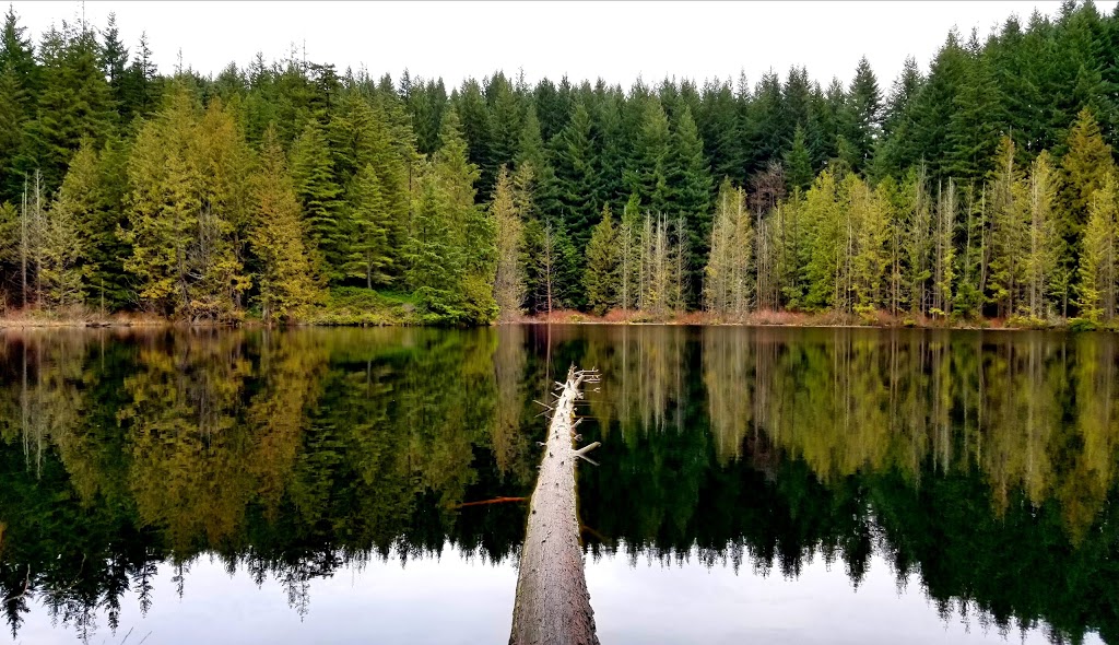 Chuckanut Mountain / Pine & Cedar Lakes County Park | Pine and Cedar Lakes Trail, Bellingham, WA 98229, USA | Phone: (360) 733-2900