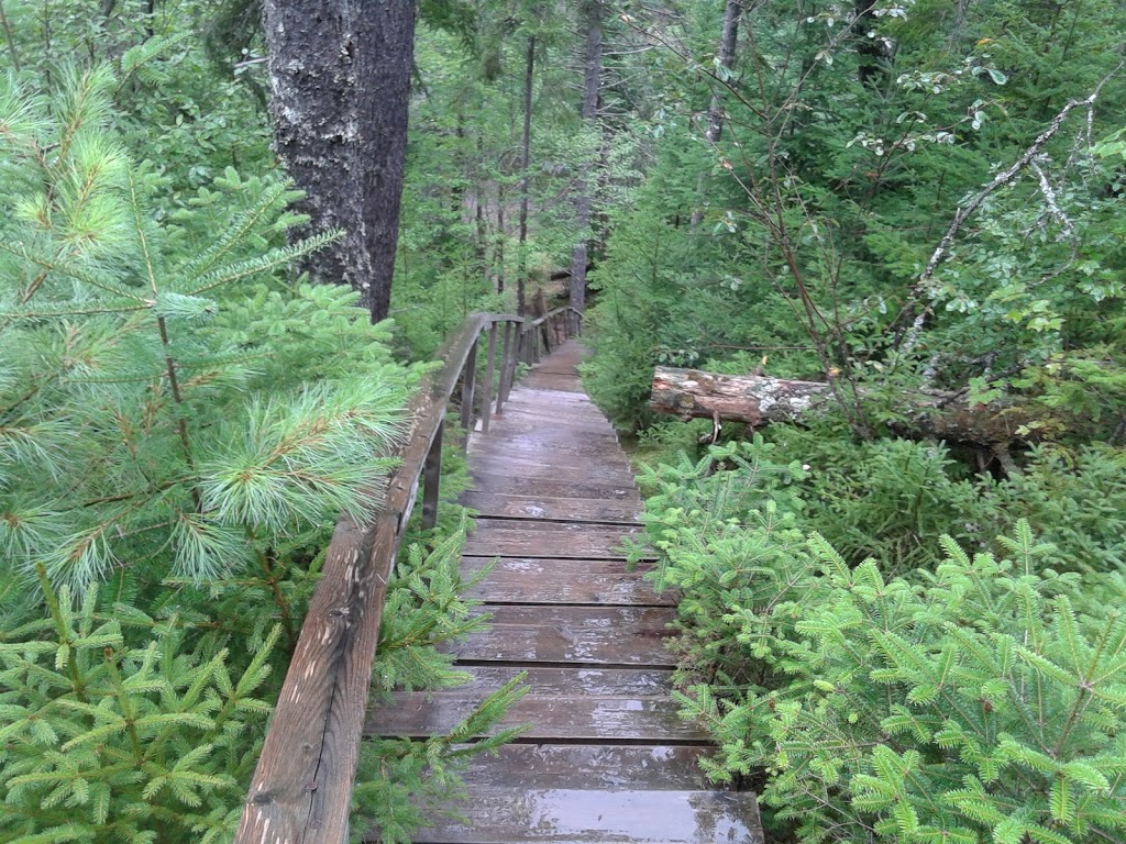 Burnside Community Waterfalls | Burnside park, Pembroke Rd, Upper Stewiacke, NS B0N 2P0, Canada