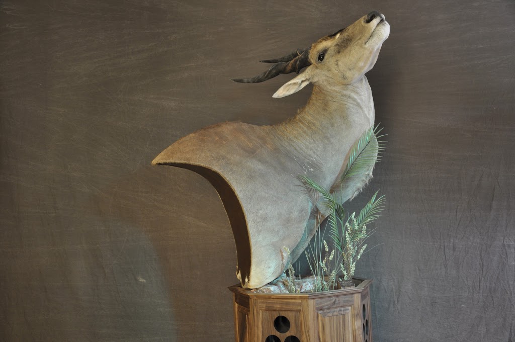 Big Game Wildlife Art and Taxidermy | 1726 Clyde Rd, Cambridge, ON N1R 5S7, Canada | Phone: (519) 620-9532