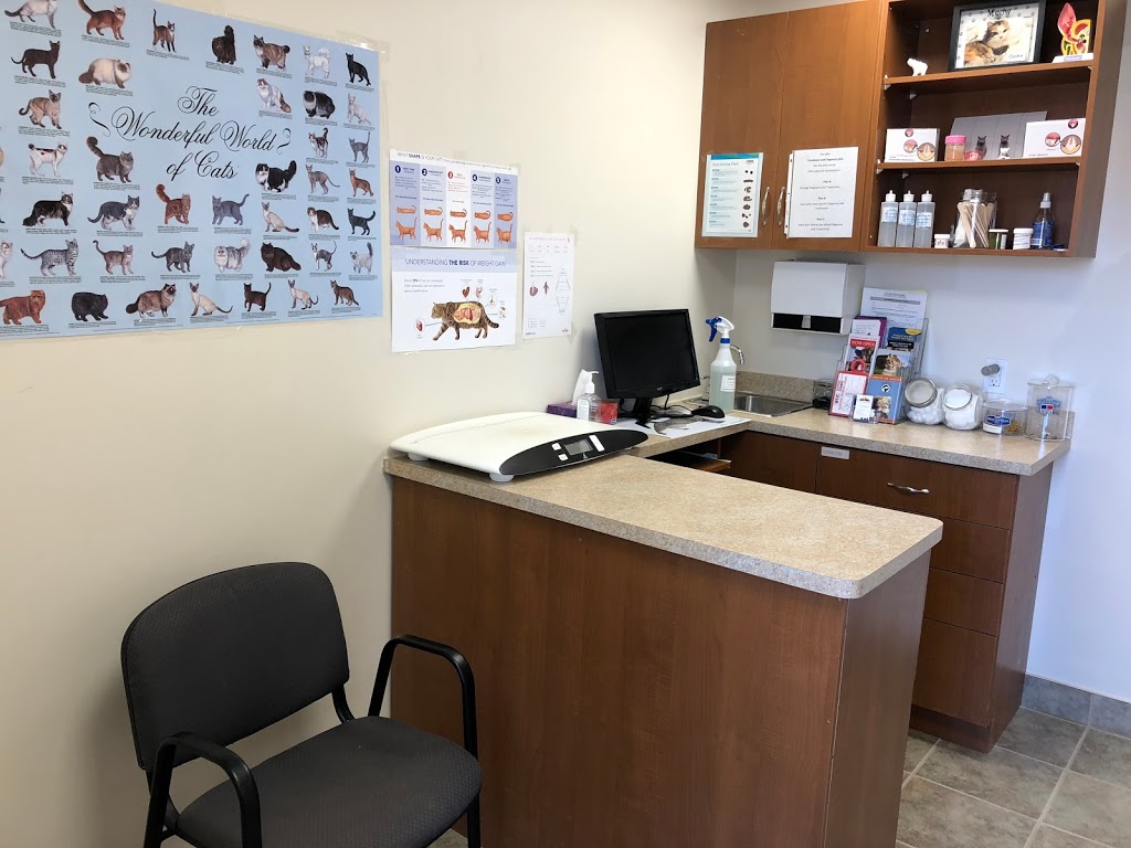 East Side Animal Hospital I affordable Vet in Toronto | 3095 Kingston Rd, Scarborough, ON M1M 1P1, Canada | Phone: (416) 264-8387