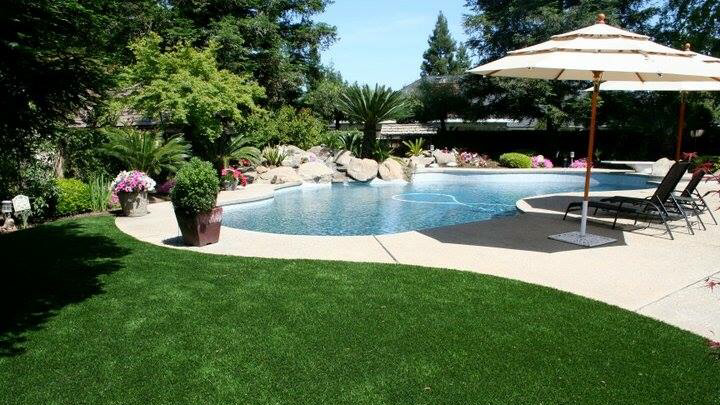 SYNLawn Vancouver | 8207 Swenson Way, Delta, BC V4G 1J5, Canada | Phone: (778) 246-2210