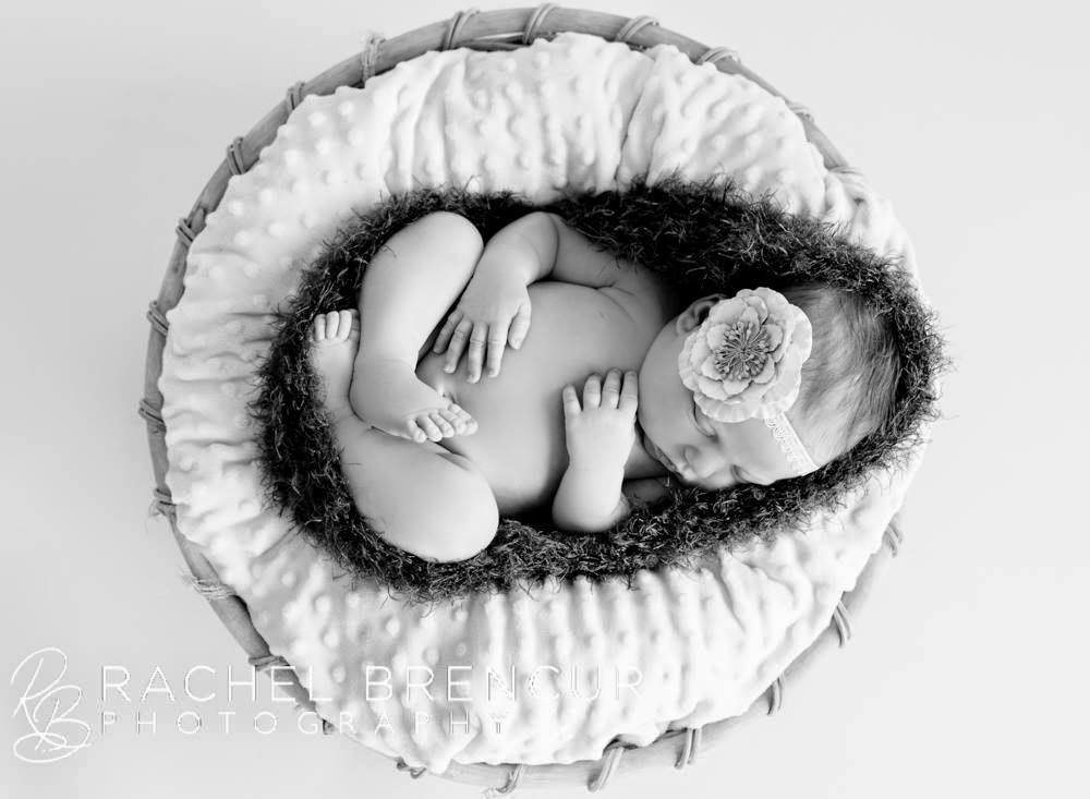 Rachel Limebeer Photography | 3318 Vine St, Vineland, ON L0R 2C0, Canada | Phone: (289) 686-7090