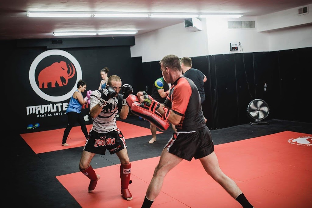 Mamute Martial Arts Academy - Oshawa, ON | 907 Simcoe St N, Oshawa, ON L1G 4W1, Canada | Phone: (647) 648-1662