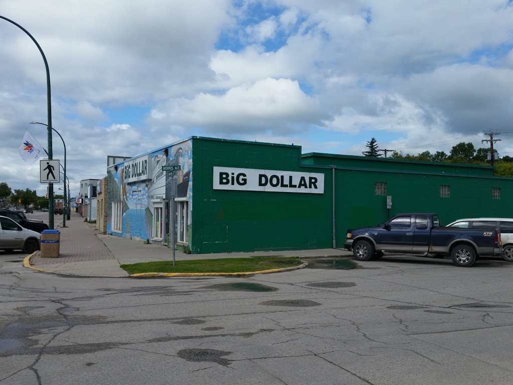 Big Dollar | 439 Main St, Selkirk, MB R1A 1V4, Canada | Phone: (204) 785-1591