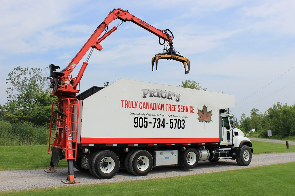 Truly Canadian Tree Service | 12274 Brawn Rd, Wainfleet, ON L0S 1V0, Canada | Phone: (905) 734-5703