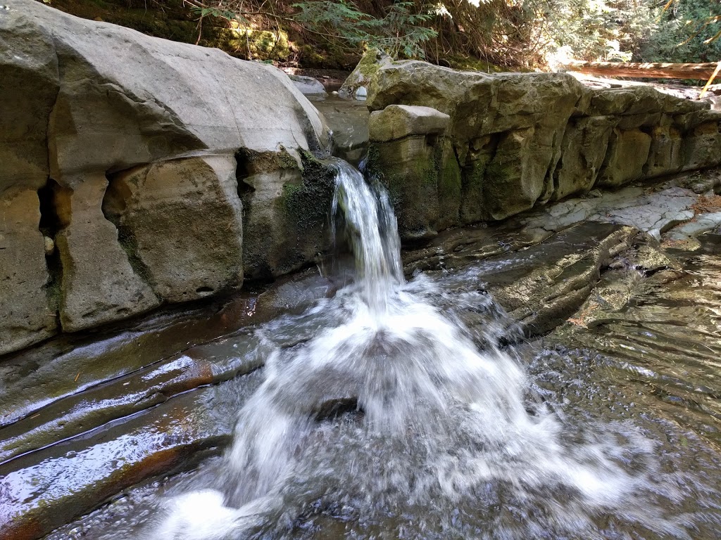 Benson Creek Falls Regional Park | Doumont Rd & Weigles Rd, Nanaimo, BC V9T 6H1, Canada | Phone: (250) 248-3252