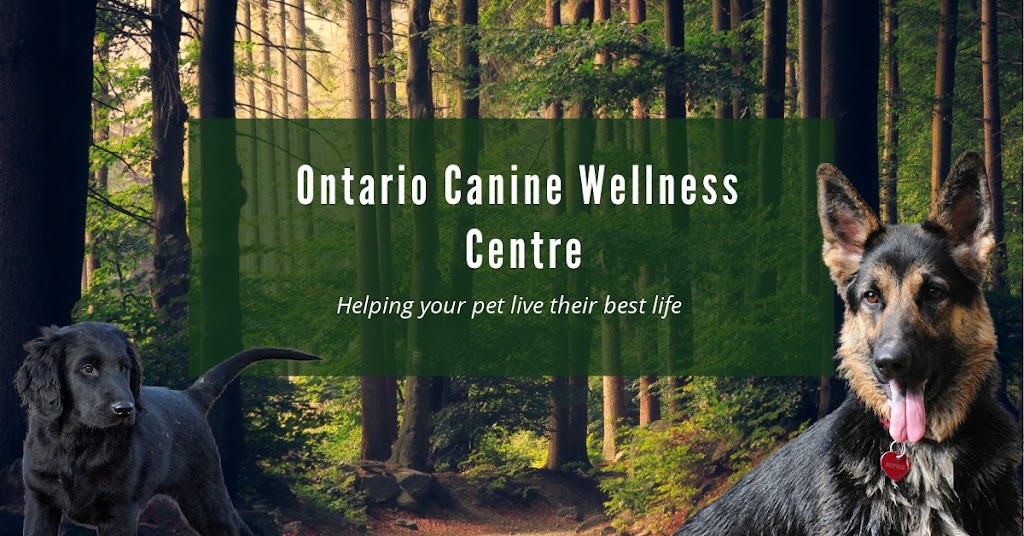 Ontario Canine Wellness Centre | 3347 Lakefield Rd, Lakefield, ON K0L 2H0, Canada | Phone: (705) 868-3236