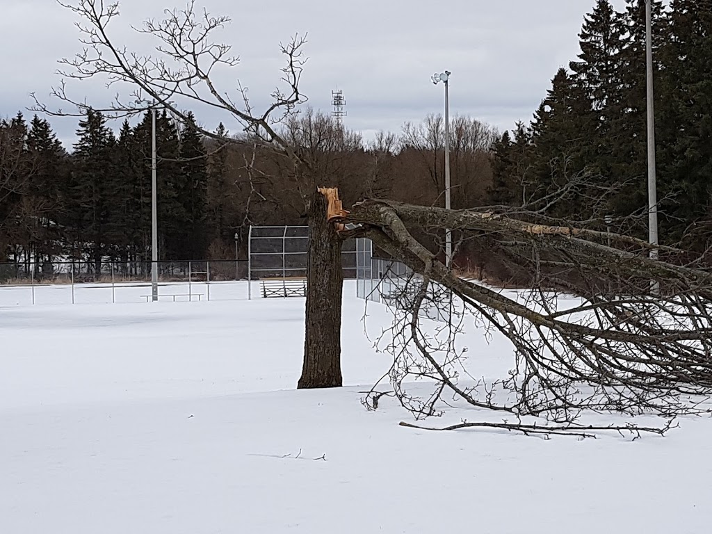 Vandorf Park | Gormley, ON L0H 1G0, Canada