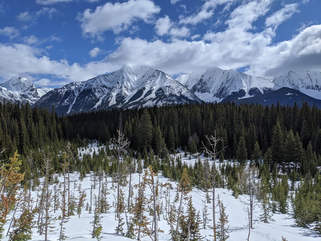 Tent Ridge Horseshoe Trail Head | Kananaskis, AB T0L 2C0, Canada | Phone: (403) 678-0760