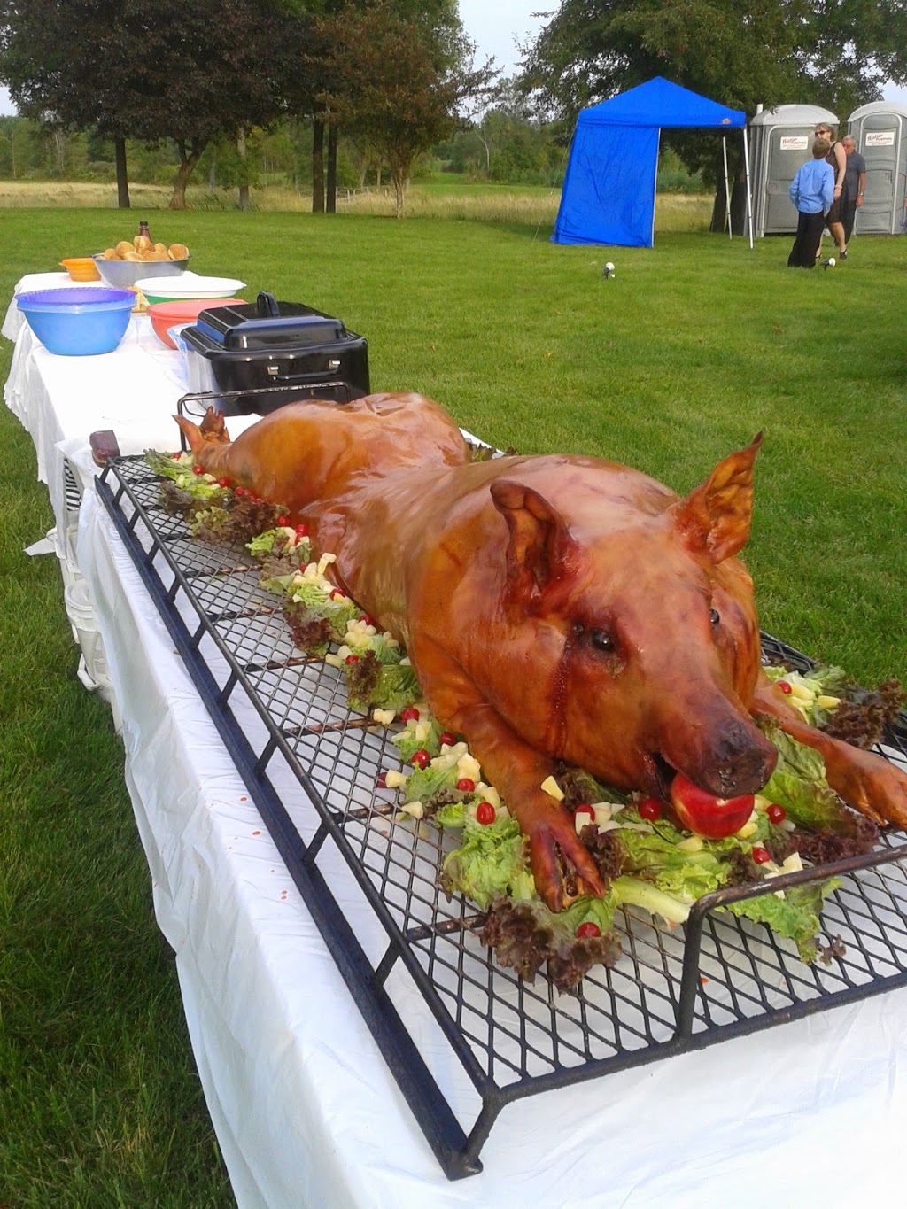 Cotas Mobile Catering | 11923 Road 38, Tichborne, ON K0H 2V0, Canada | Phone: (613) 375-6343