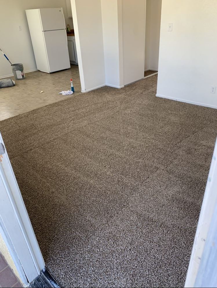 Six Carpet Cleaning of Oakville | 2348 Lakeshore Rd W, Oakville, ON L6L 1H5, Canada | Phone: (289) 206-6054