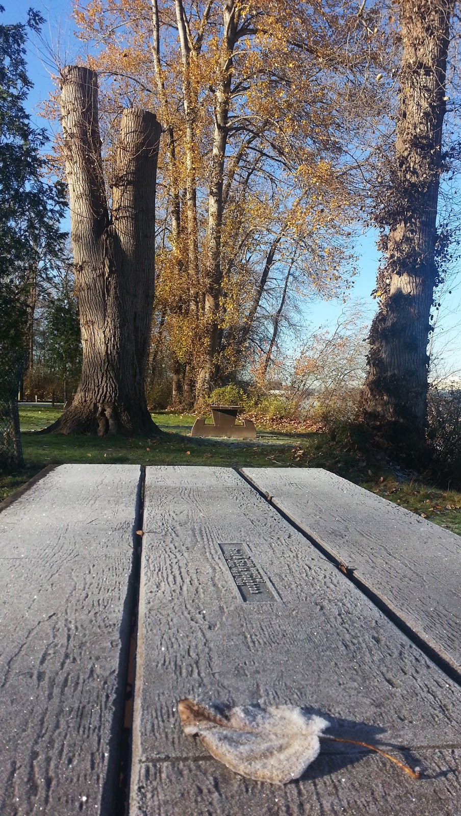 Deas Island | Delta, BC, Canada