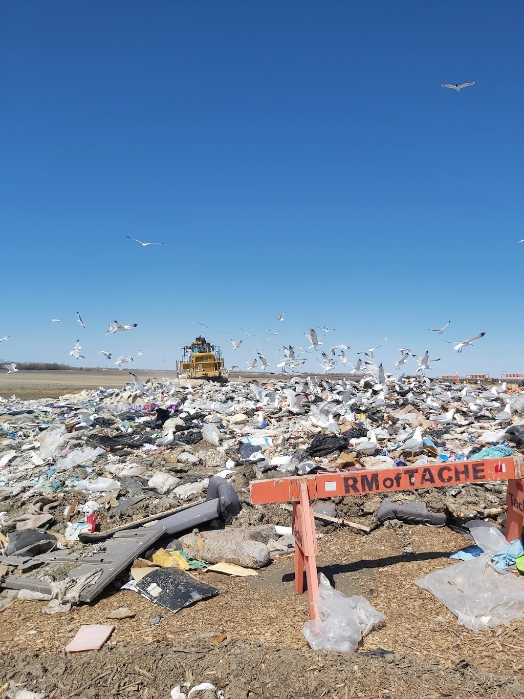 Lorette Waste Management | 48028 Mun 25E, Lorette, MB R0A 0Y0, Canada | Phone: (204) 878-2799