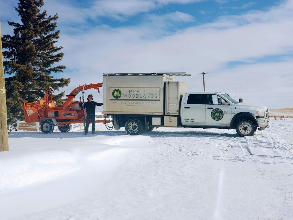 Prairie Woodlands Tree Care Ltd. | 264098, Range Rd 13, Airdrie, AB T4B 5B7, Canada | Phone: (587) 600-8936