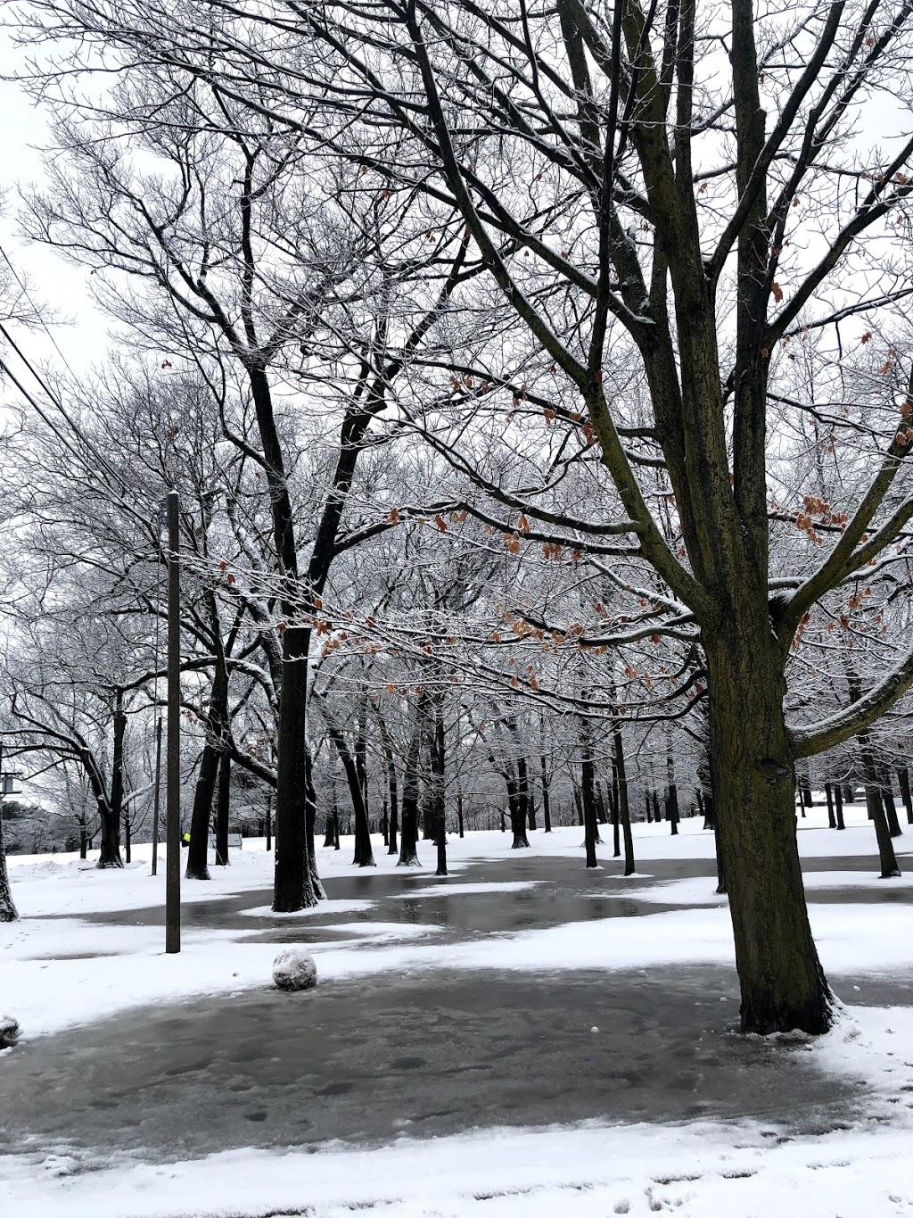 High Park Outdoor Pool | 1873 Bloor St W, Toronto, ON M6R 2Z3, Canada | Phone: (416) 392-7807